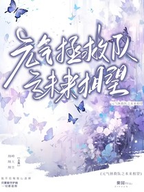 元气拯救队之未来相望