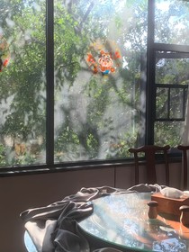 穿越拯救我的爱人