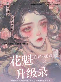 花魁升级录