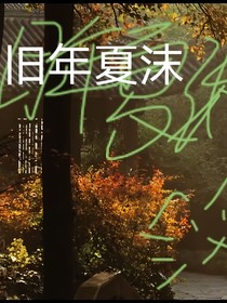 旧年夏沫
