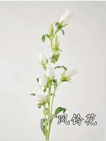 写诗诗