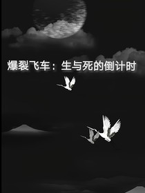 爆裂飞车之生与死的倒计时