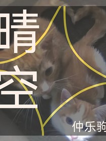 晴空，猫之山与晴，furry猫题材