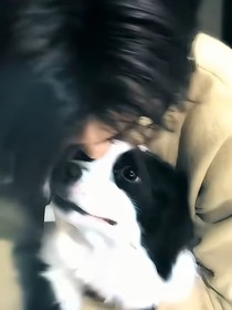 宛若梦魇