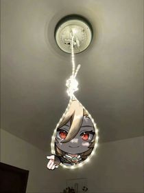 归家的天堂鸟（知妙）