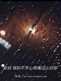 此生不再爱你了