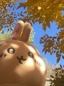 重生之回到我的无敌小学