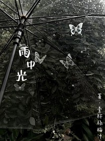 雨中光