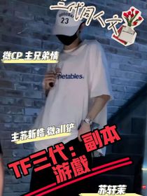 TF三代：副本游戲（主蘇）