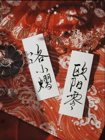 斗龙战士：星星