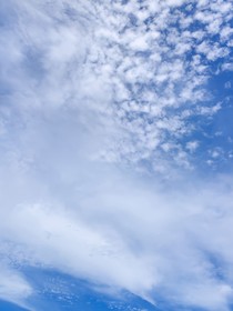 淺墨繪友情