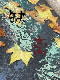 缺离