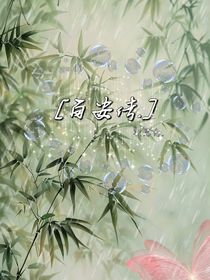 百安传