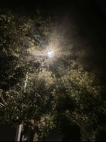 永远埋藏的话