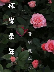 懷歲錄年