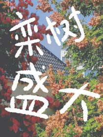 栾树盛大