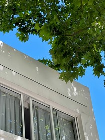 又逄夏