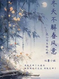 冬天不解春風意