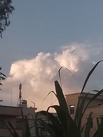 闷闷的月亮