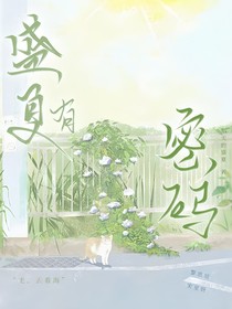 盛夏有密码