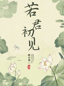 若君初见