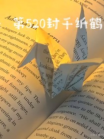hp：第520封千纸鹤