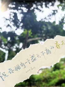 全网爆火