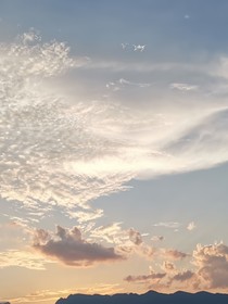 聽懂誰的孤語-d832