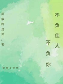 不負(fù)佳人不負(fù)你