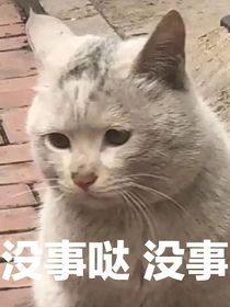是正常人的精神病