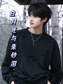白月光与朱砂泪