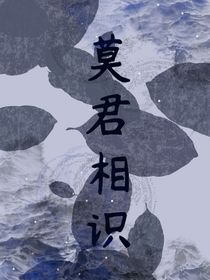 莫君相识