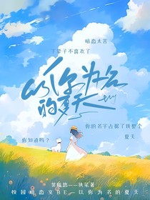 我的：以你为名的夏天