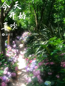 今天开始喜欢