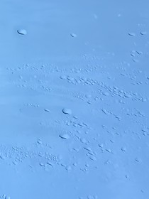 当流浪马戏团全员上综艺
