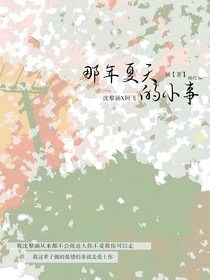 那年夏天的小事