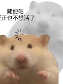 你为什么成不了女主！