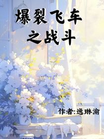 爆裂飞车——战斗