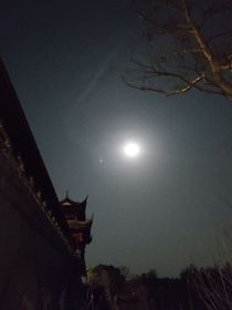 叹之夏