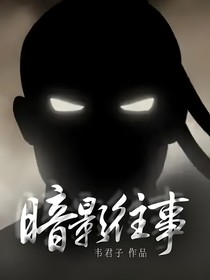 暗影格斗：暗影往事