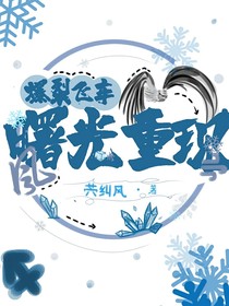 爆裂飞车：曙光重现