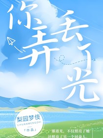 你弄丢了光