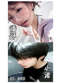 循环小说
