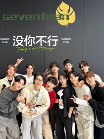 seventeen：没你不行