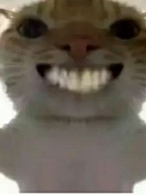 不更了再见