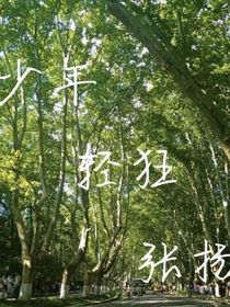少年，轻狂，张扬
