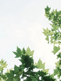 糟糕！一不小心撩上年级第一