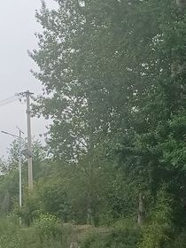随笔记记录