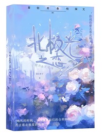 北极光之恋