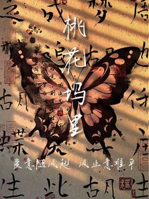 桃花坞里